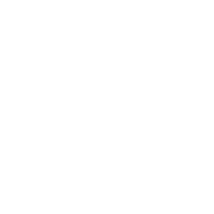 influencer marketing