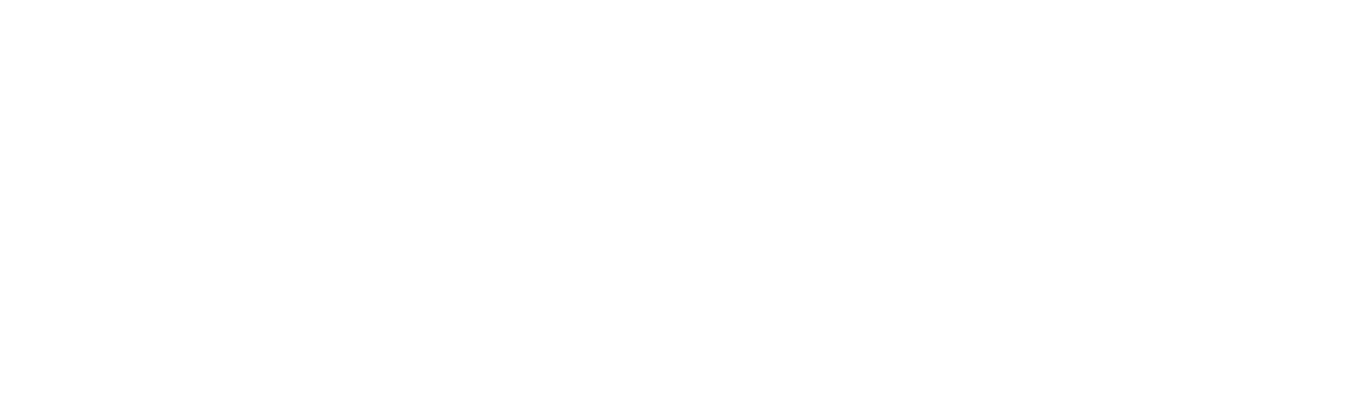 logo-partners-emasa-chile-agencia-labnave